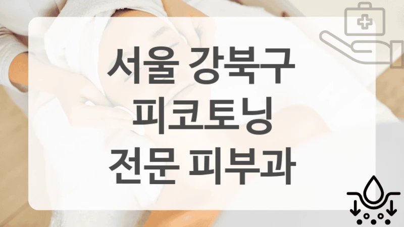 서울 강북구
피코토닝
전문 피부과