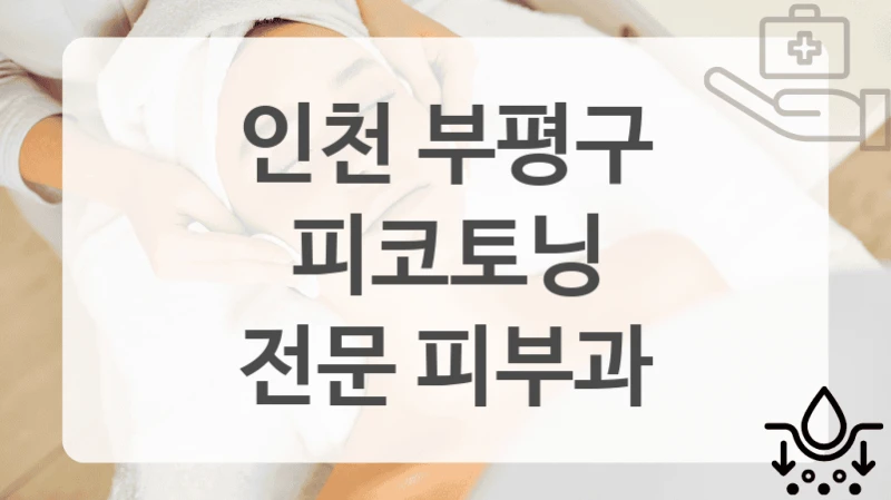 인천 부평구 리뷰 좋은 피코토닝 클리닉 모음