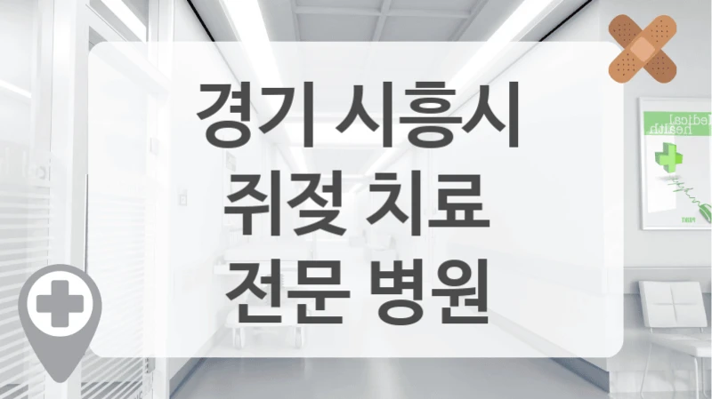 경기 시흥시
쥐젖 치료
전문 병원