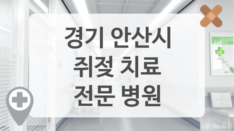 경기 안산시
쥐젖 치료
전문 병원