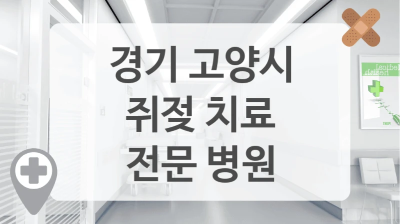 경기 고양시
쥐젖 치료
전문 병원