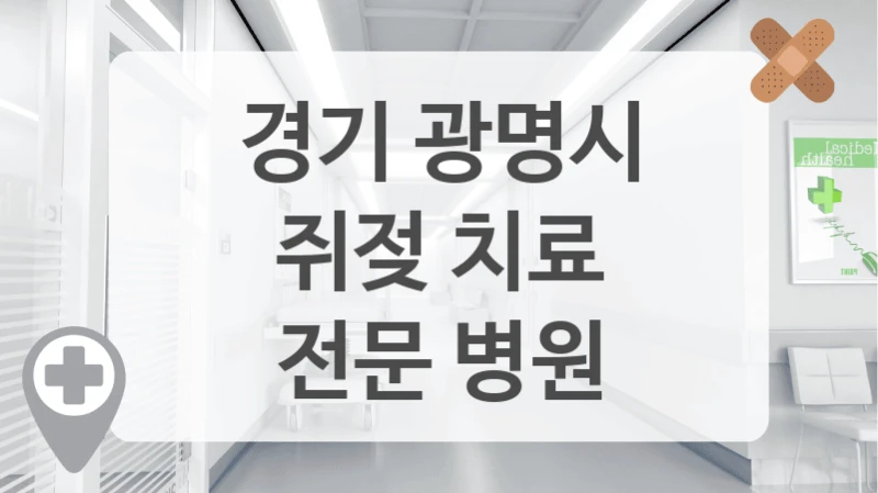 경기 광명시
쥐젖 치료
전문 병원