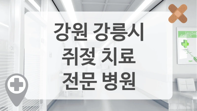 강원 강릉시
쥐젖 치료
전문 병원