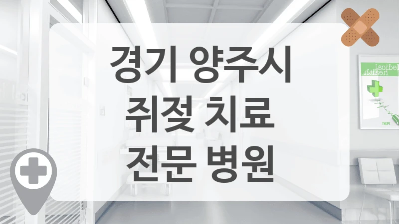 경기 양주시
쥐젖 치료
전문 병원