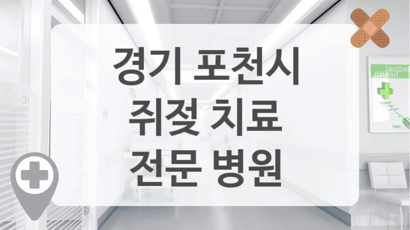 경기 포천시
쥐젖 치료
전문 병원