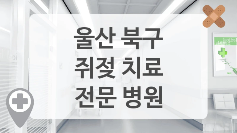 울산 북구
쥐젖 치료
전문 병원