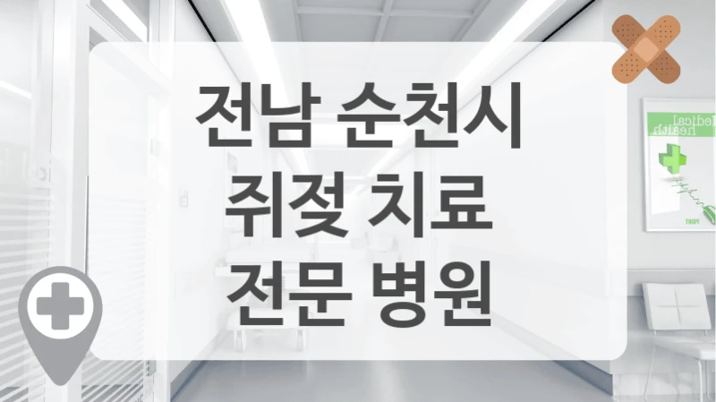 전남 순천시
쥐젖 치료
전문 병원