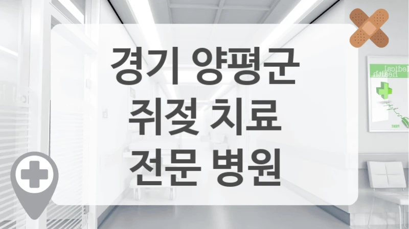 경기 양평군
쥐젖 치료
전문 병원