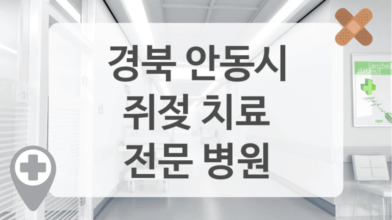 경북 안동시
쥐젖 치료
전문 병원