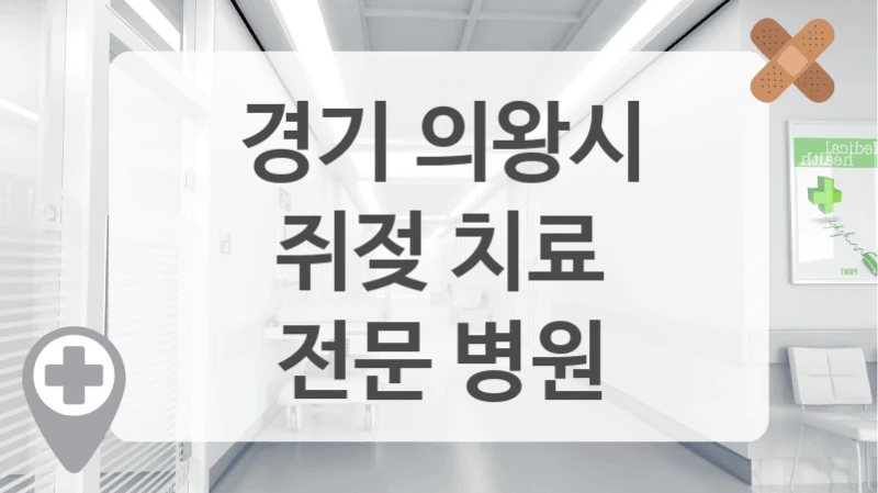 경기 의왕시
쥐젖 치료
전문 병원