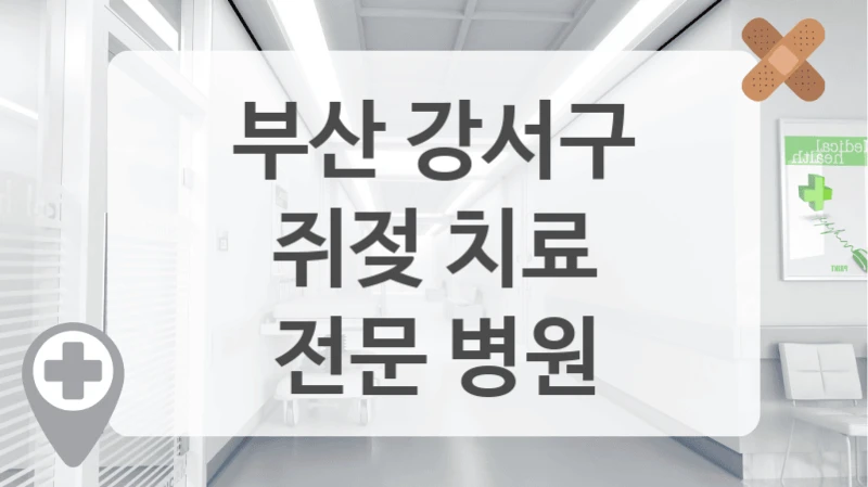부산 강서구
쥐젖 치료
전문 병원