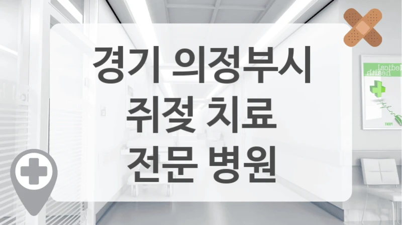 경기 의정부시
쥐젖 치료
전문 병원