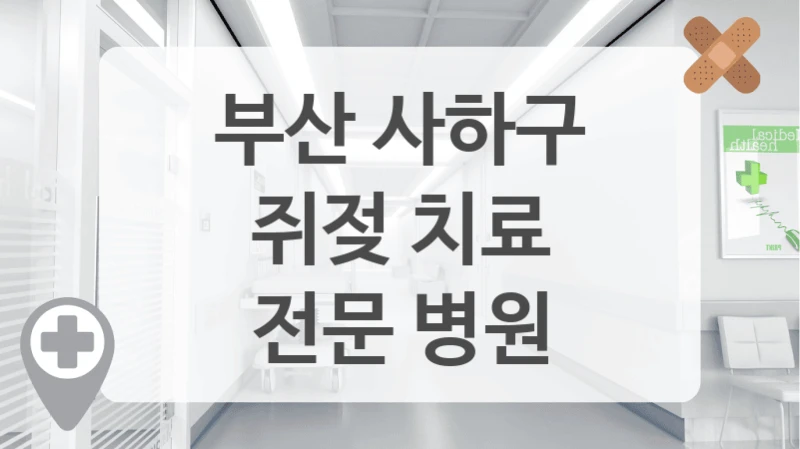 부산 사하구
쥐젖 치료
전문 병원
