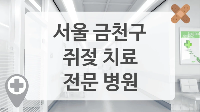 서울 금천구
쥐젖 치료
전문 병원