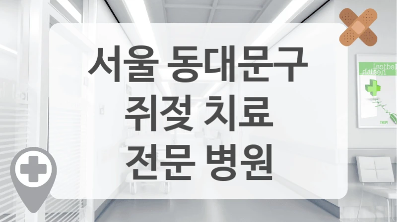 서울 동대문구
쥐젖 치료
전문 병원