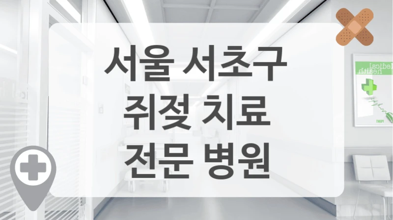서울 서초구
쥐젖 치료
전문 병원