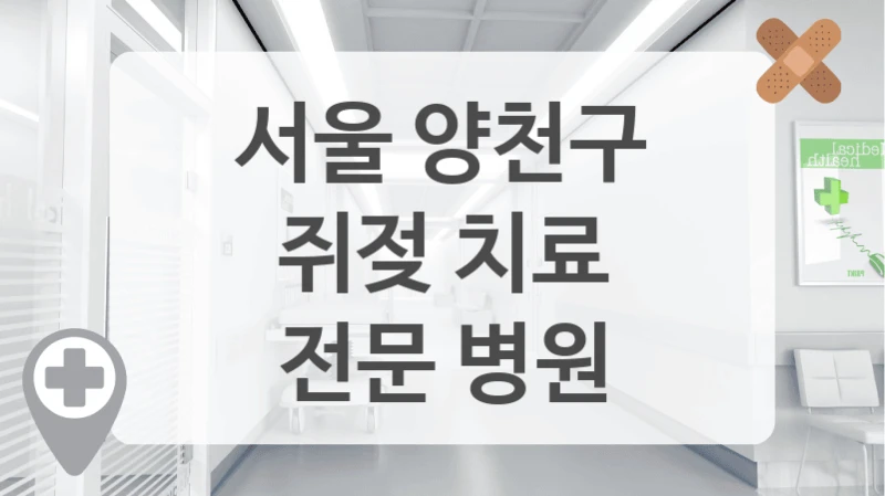 서울 양천구
쥐젖 치료
전문 병원
