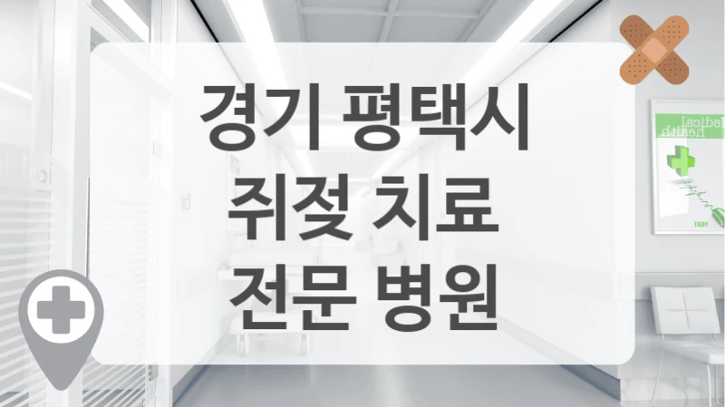 경기 평택시
쥐젖 치료
전문 병원