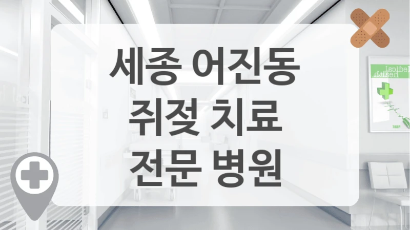 세종 어진동
쥐젖 치료
전문 병원