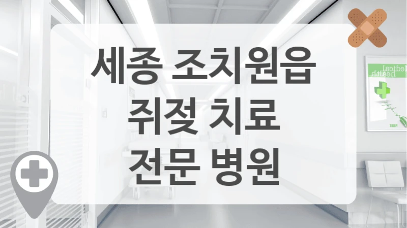 세종 조치원읍
쥐젖 치료
전문 병원