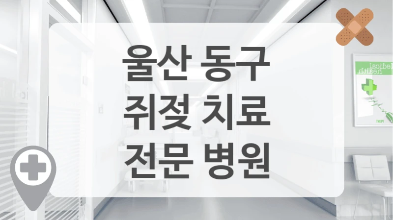 울산 동구
쥐젖 치료
전문 병원