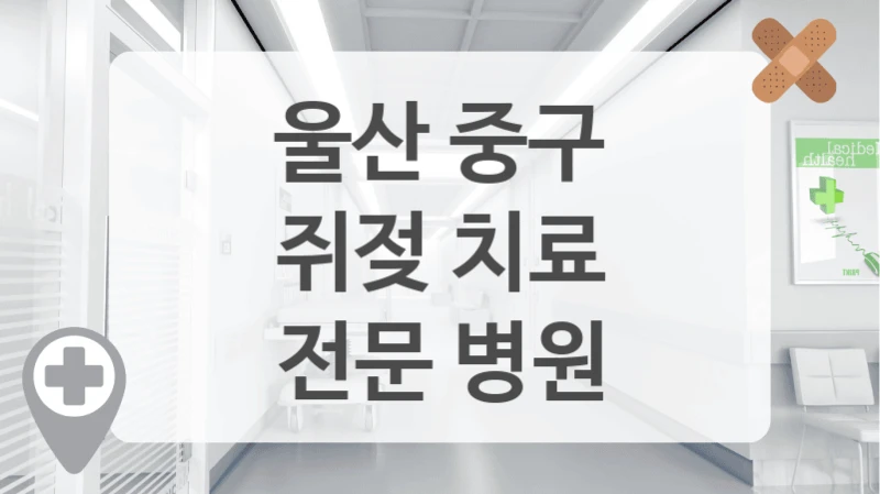 울산 중구
쥐젖 치료
전문 병원