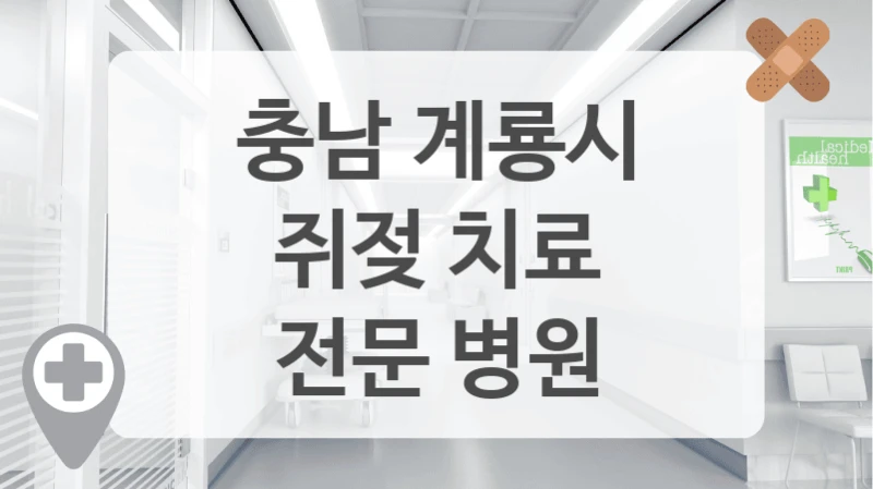 충남 계룡시
쥐젖 치료
전문 병원