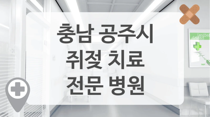 충남 공주시
쥐젖 치료
전문 병원