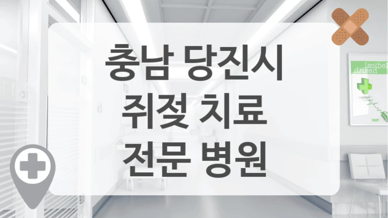 충남 당진시
쥐젖 치료
전문 병원