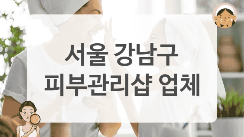 서울 강남구 피부관리샵 업체