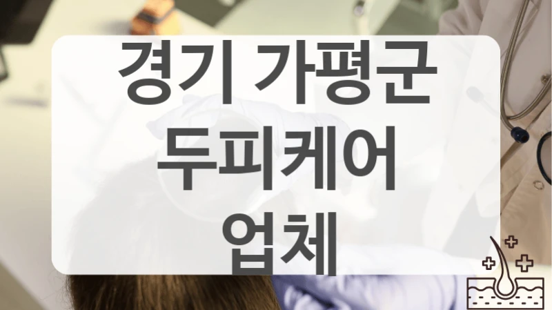 경기 가평군 두피케어 업체