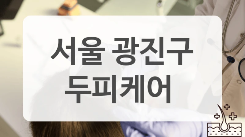 앰플 관리 광진구 두피케어 가격