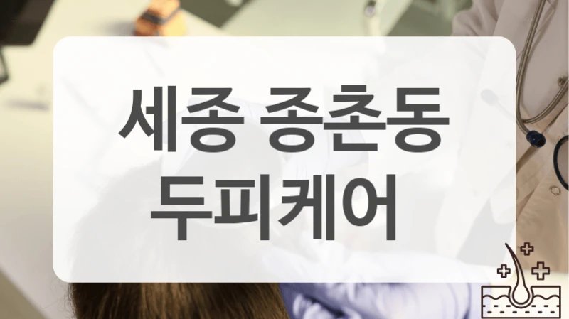 종촌동에서 가장 인기있는 두피케어 추천업체