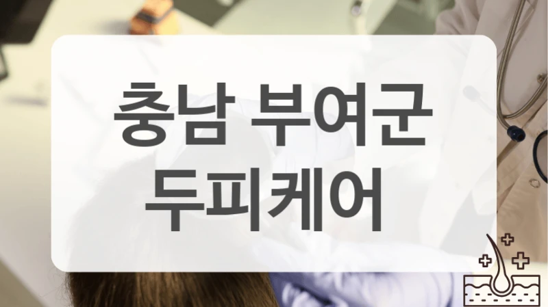 충남 부여군 두피케어