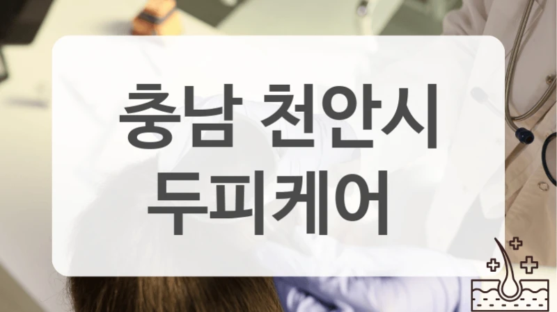 노폐물 제거 천안시 두피케어 비교