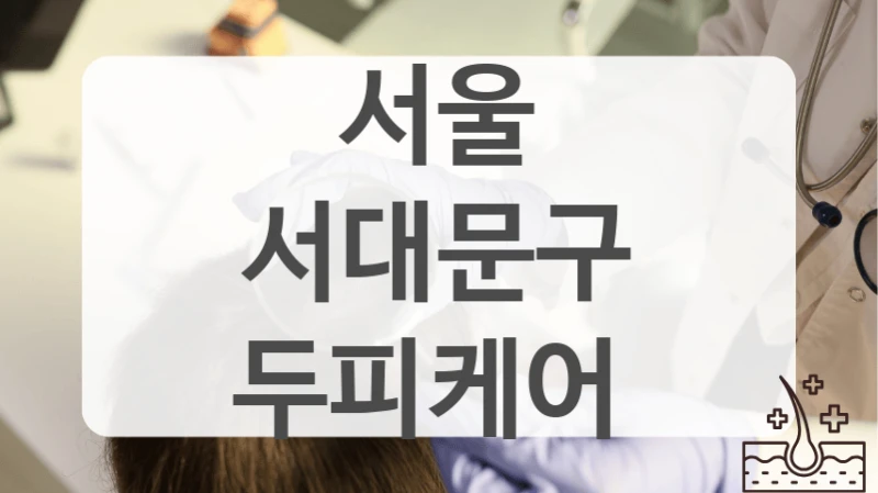 서울 서대문구 모발 윤기 두피케어 추천