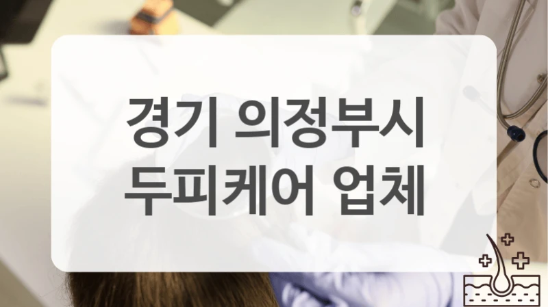 의정부시 피지 과다 관리 두피케어 가격
