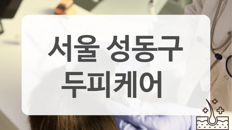 두피 스케일링 성동구 두피케어 효과