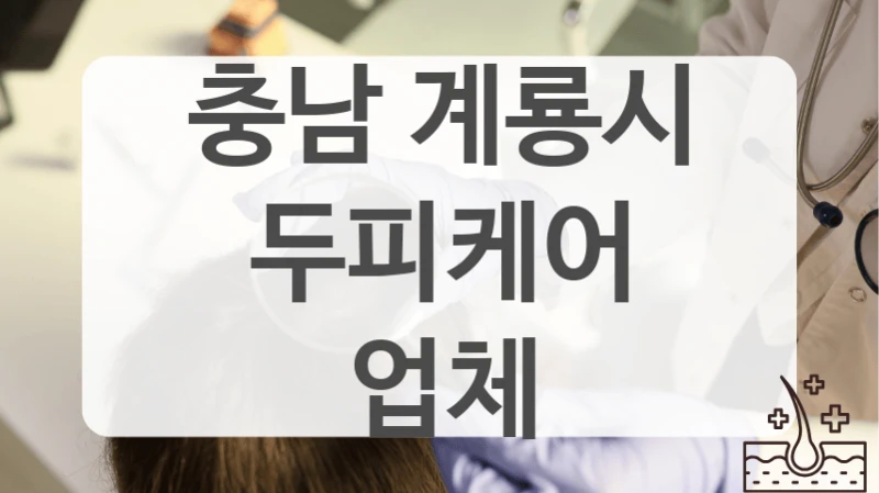 충남 계룡시 두피케어 업체