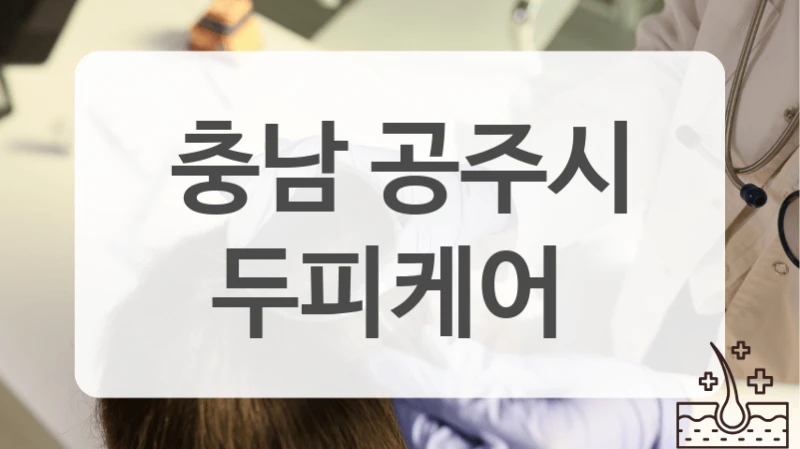 공주시에서 요즘 뜨는 두피케어 리스트